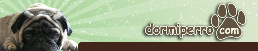 Cabecera histórica de Dormiperro con un pug